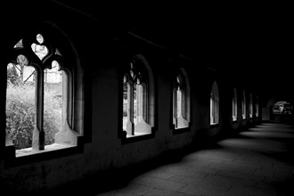 Church Münsterkirche with Patio in Schaffhausen, Switzerland, Europe
