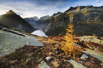 Swiss Alps in autumn, Grimselsee and Lauteraarhorn, Bern, Switzerland, Europe