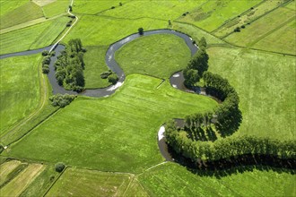 Aerial view, Schwinge, river, Stade, natural, meadow, poplar, Lower Saxony, Germany, Europe