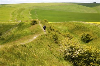 Two men walking along the ditch and embankment of the Wansdyke a Saxon defensive structure on All