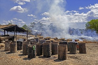 Old discarded oil barrels for the production of Toaka gasy, Malagasy rum near Tulear, Toliara,