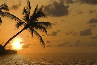 Sunset on a dream beach in the Caribbean, Caribbean, USA, North America