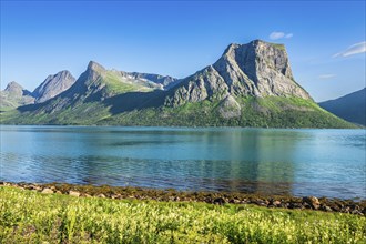 Steep rock formation at the Bergsfjord, near Bergsbotn, island Senja, Troms, Norway, Europe