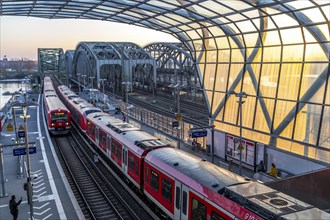 Elbbrücken S-Bahn station, the S3 and S5 S-Bahn trains run here, Commuter, Hamburg Germany