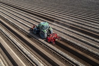 A farmer builds asparagus ridges on a field with the help of an asparagus tiller, in which the