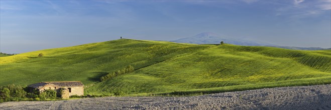 Landscape around Pienza, Val d'Orcia, Orcia Valley, UNESCO World Heritage Site, Province of Siena,