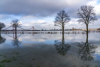 Flood on the Rhine, flooded Rhine meadows, fields, Rhine bridge Emmerich, road bridge of the B220,