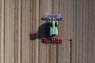 Sugar beet being sown in spring, precision sowing with precision seed drill, behind a tractor,