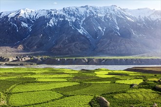 Spiti Valley, snowcapped Himalayan Mountains. Himachal Pradesh, India, Asia