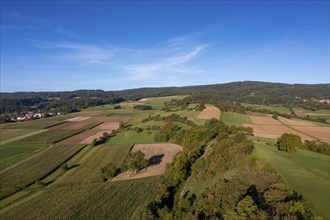 Landscape near Fladungen, Rhön, Bavarian Rhön, Rhön, Lower Franconia, Bavaria, Germany, Europe