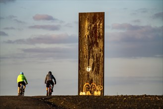 Mountain biker on the Schurenbach spoil tip, with the slab for the Ruhr area, Essen, North