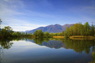 Mirror Image on an Alpine Lake Maggiore with Trees and Mountain in a Sunny Day in Locarno, Ticino,