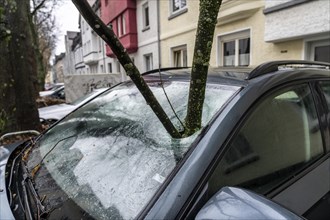 North Rhine-Westphalia, Germany, storm damage, a good 4 metre long branch was broken off by the