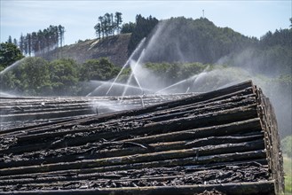 Wet wood storage of a sawmill, timber that is stored longer is sprinkled with water so that the