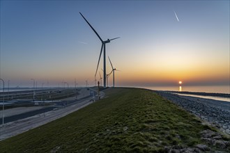 ENECO wind farm on the dike around the harbour Maasvlakte 2, 22 wind turbines with a capacity of