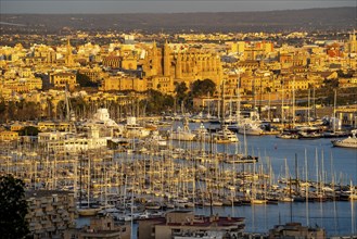 Panorama of Palma de Majorca, Bay of Palma, with the marina and the Cathedral of St Mary, Balearic