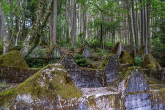 Remains of the Westwall across the Grölisbach, near Roetgen, 100 metre long anti-tank barrier