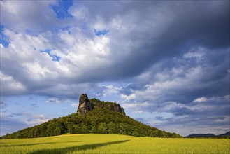 The Lilienstein is one of the most striking mountains in the Elbe Sandstone Mountains in Saxony. It