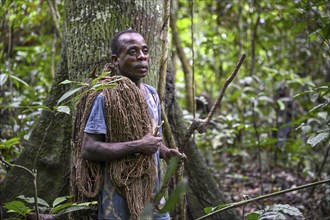 Pygmy of the Baka or BaAka people with his hunting net, Dzanga-Sangha Special Dense Forest Reserve,