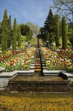 Park, Mainau Island, Lake Constance, Baden-Württemberg, Germany, Europe