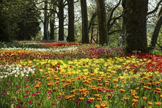 Park and flower meadow with colourful tulips, Mainau Island, Lake Constance, Baden-Württemberg,