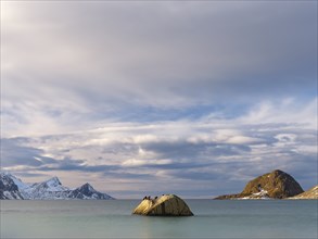 Rocks with birds on Haukland beach, snow-covered mountains in the background, Vestvagoya, Lofoten,