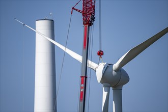 Repowering of a wind farm near Issum, 9 older wind turbines from the manufacturer Enercon (model