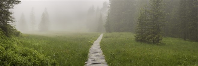 Hühnermoos on a cloudy day with fog, a high moor at Söllereck near Oberstdorf, AllgÃ¤u Alps,