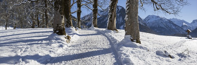 Winter hiking trail at the Hofmannsruh viewpoint above Oberstdorf, OberallgÃ¤u, AllgÃ¤u, Bavaria,