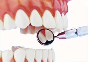 The model of a set of teeth is examined, dentist, dentist, dental laboratory