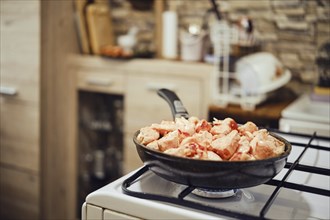 Frying chopped chicken fillet in frying pan on a gas stove