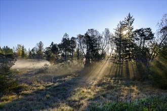 Sunrise with fog, in the Kirchsee Filzen, Kirchseemoor, near Sachsenkam, Tölzer Land, Alpine