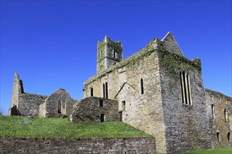 Historic ruins of Timoleague Friary, County Cork, Ireland, Irish Republic, Europe