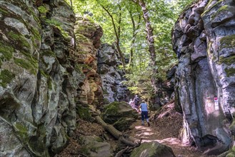 The Devil's Gorge, narrow, accessible gorge of sandstone rocks, with steep rocky gorges, near