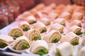 Vegan finger food on a marriage buffet, Bavaria, Germany, Europe