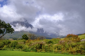 Mountains Jonkershoek Nature Reserve from Oldenburgt Wine Estate, Oldenburg Vineyards, Banghoek,