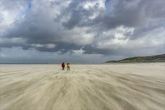 North Sea, Spiekeroog Island, autumn, strong wind drives the sand over the mudflats at low tide,