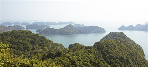 Karst rocks of Lan Ha Bay from Cannon Fort viewpoint, Cat Ba Island, Halong Bay, Vietnam, Asia