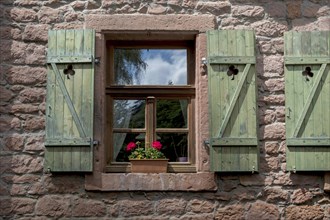 Window with green shutters and a flower pot with geraniums in a red sandstone house, Palatinate