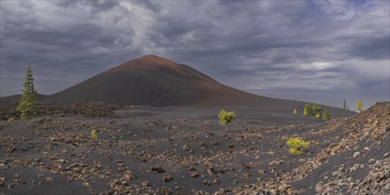 Chinyero volcano, Arena Negras zone, Teide National Park, Tenerife, Canary Islands, Spain, Europe