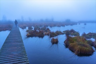 The High Fens nature park Park, in the German-Belgian border region near Eupen, winter, fog, wooden