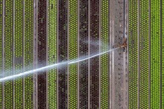 A field is artificially irrigated, water is sprayed onto the field via an irrigation system, field