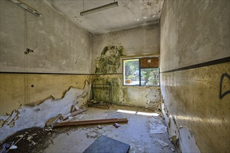 Peeling and moss-covered walls in an abandoned room with sunlight shining through a window, Lost