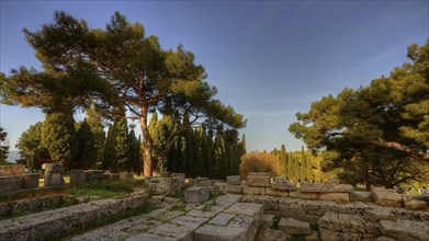 HDR Photo, Remains of Athena Polias Temple, Ancient ruins and trees under a sunny sky, Filerimos,