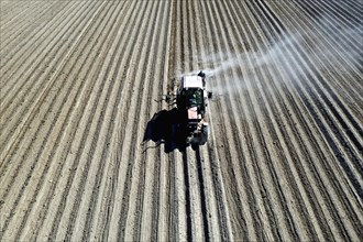 Tractor dragging a plume of dust behind it while working a potato field, Münchenberge, 20/05/2020