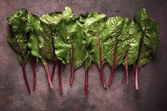 Fresh, green leaves, stem with beet leaves, on the table, top view, rustic, no people