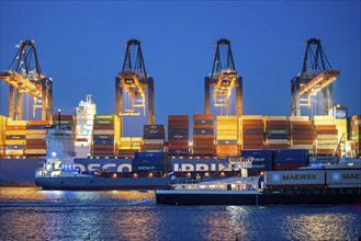 Container ship of the shipping company Cosco Shipping, CSCL SATURN, being loaded and unloaded,