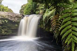 Plaza los Manios waterfall, Parque Tepuhueico, Chiloe, Chile, South America