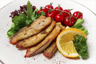 Fried Tilapia fish fillet, in spices, with cherry and salad, on a white plate, homemade, no people