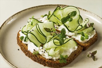 Breakfast, cereal bread sandwiches, cream cheese, sliced cucumber, with micro greenery on a light